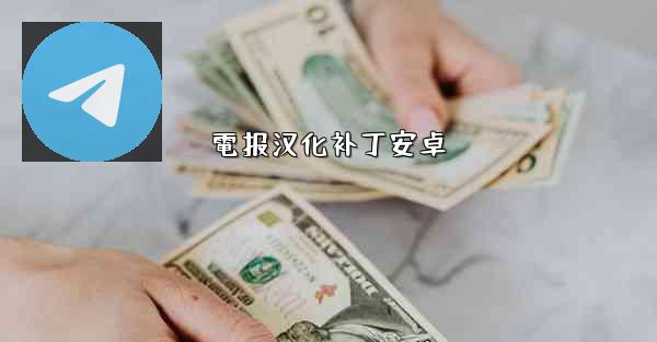 電报汉化补丁安卓