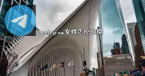 telegram文件怎麼打開