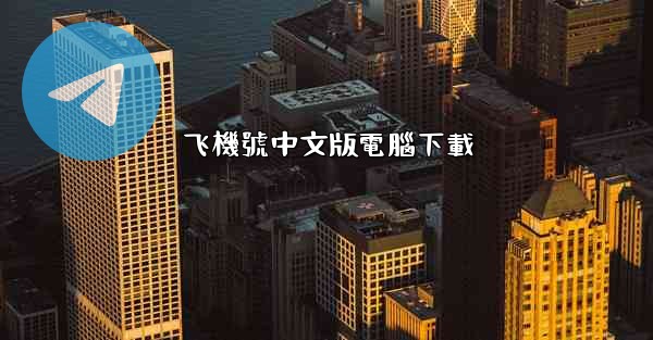 飞機號中文版電腦下載