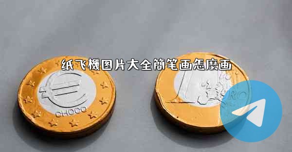 纸飞機图片大全簡笔画怎麼画