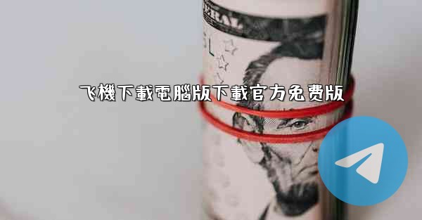 飞機下載電腦版下載官方免费版