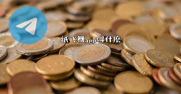 纸飞機app叫什麼