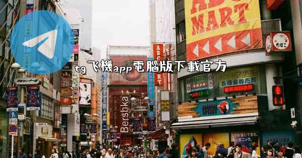 tg飞機app電腦版下載官方