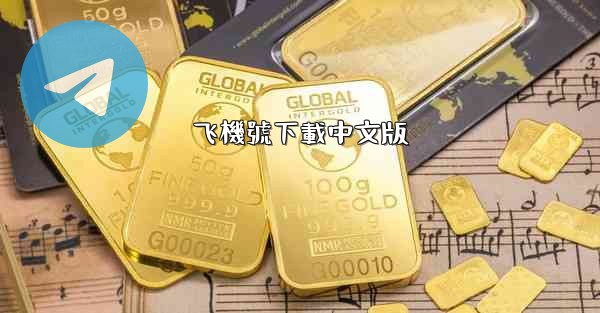 飞機號下載中文版