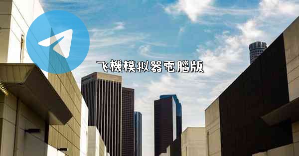 飞機模拟器電腦版