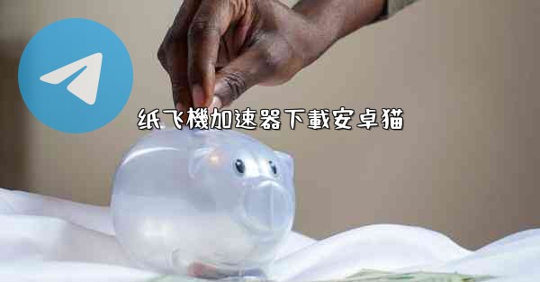 纸飞機加速器下載安卓猫