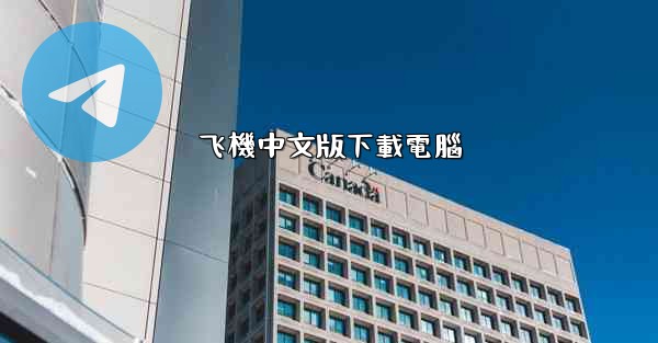 飞機中文版下載電腦