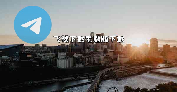 飞機下載電腦版下載