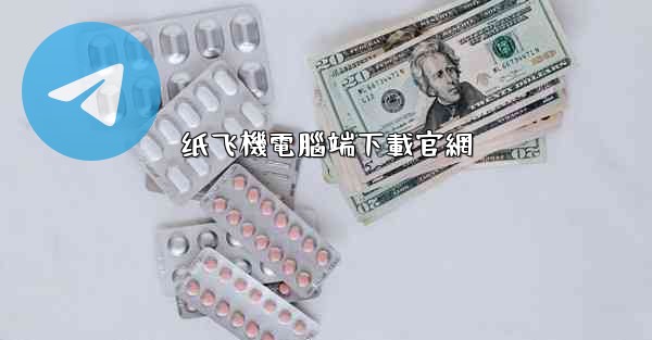 纸飞機電腦端下載官網