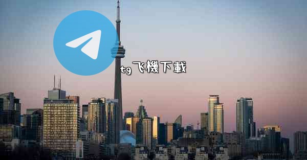 tg飞機下載