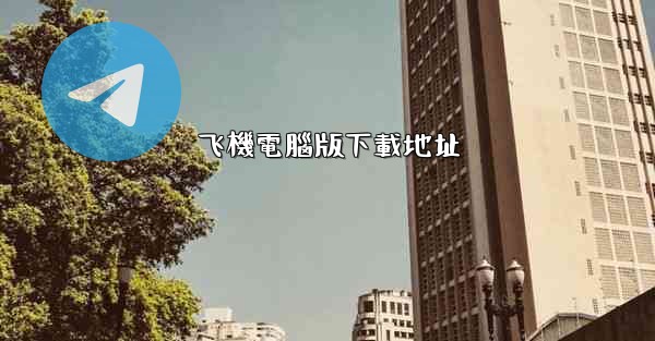 飞機電腦版下載地址