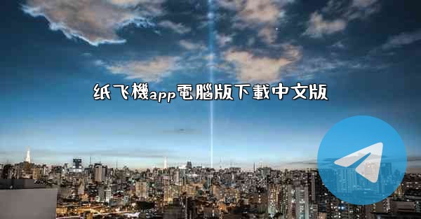 纸飞機app電腦版下載中文版