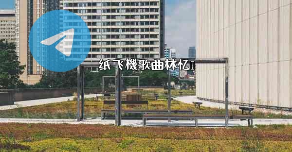 纸飞機歌曲林忆莲