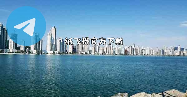 纸飞機官方下載