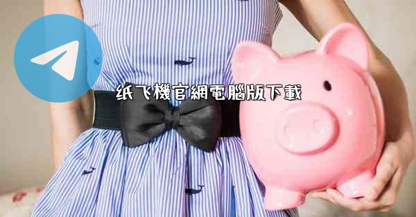 纸飞機官網電腦版下載