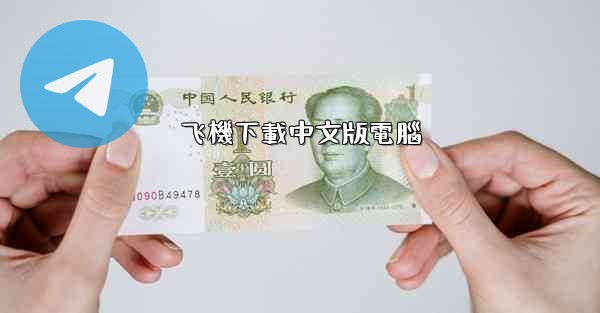 飞機下載中文版電腦