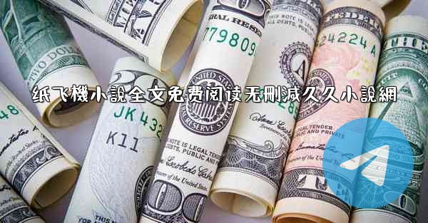 纸飞機小說全文免费阅读无刪減久久小說網