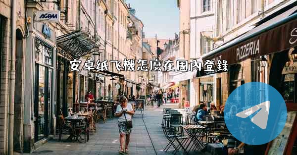 安卓纸飞機怎麼在國內登錄