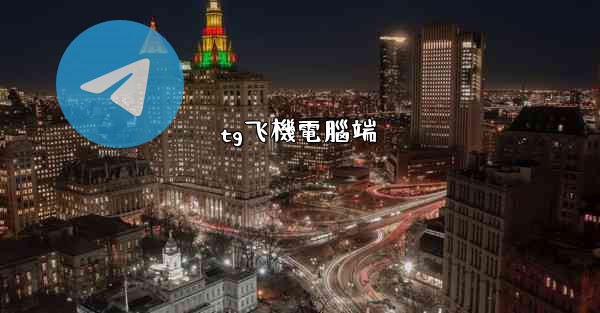 tg飞機電腦端