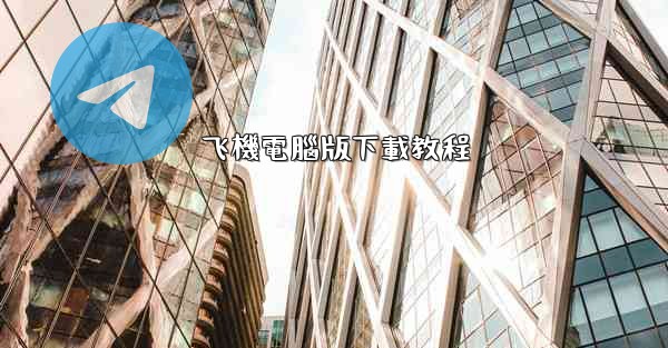 飞機電腦版下載教程