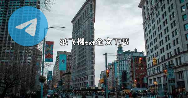 纸飞機txt全文下載