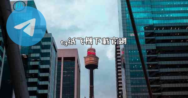tg纸飞機下載官網