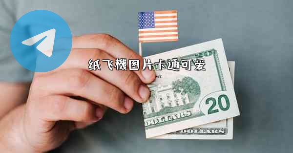 <b>纸飞機图片卡通可爱</b>