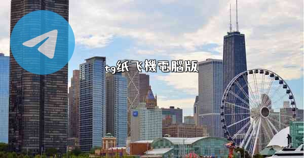 tg纸飞機電腦版