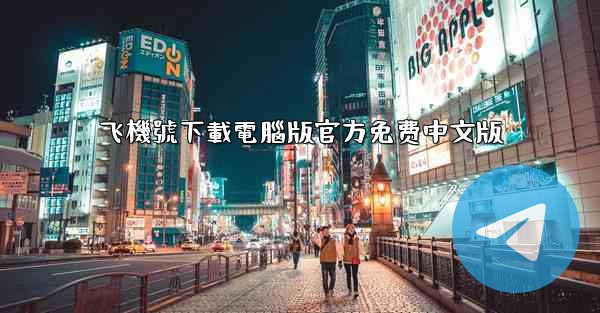 飞機號下載電腦版官方免费中文版