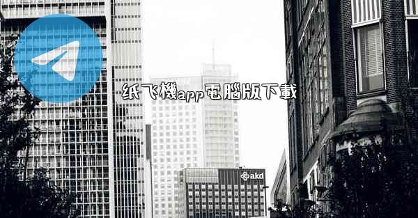 纸飞機app電腦版下載