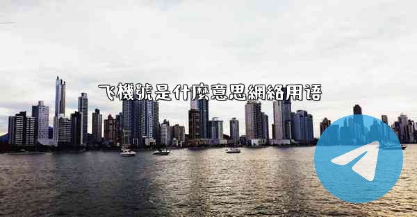 飞機號是什麼意思網絡用语