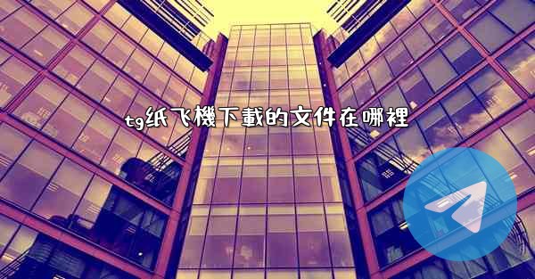 tg纸飞機下載的文件在哪裡