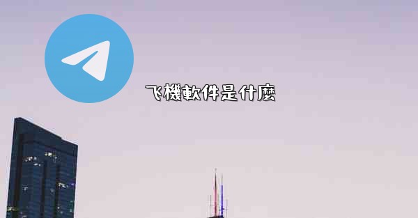 飞機軟件是什麼