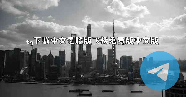 tg下載中文電腦版飞機免费版中文版