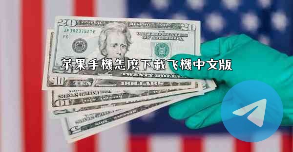 苹果手機怎麼下載飞機中文版