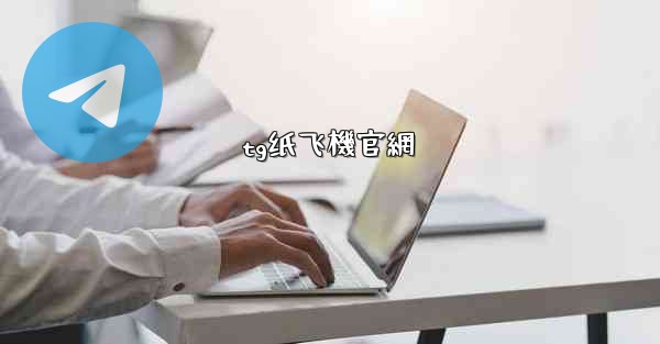 tg纸飞機官網