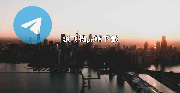 纸飞機pc端下載