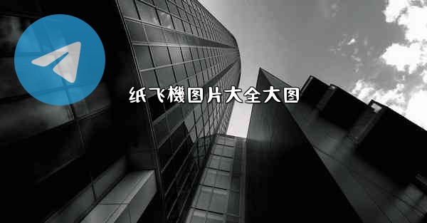 纸飞機图片大全大图