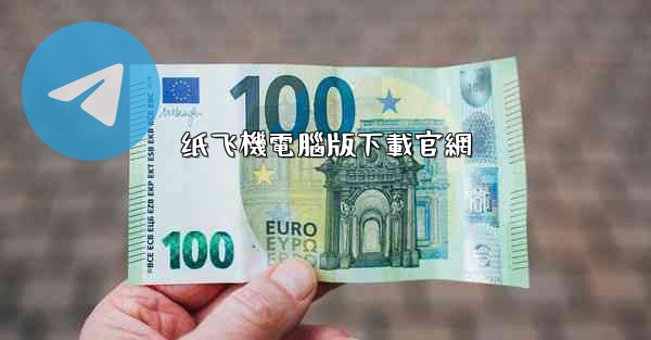 纸飞機電腦版下載官網