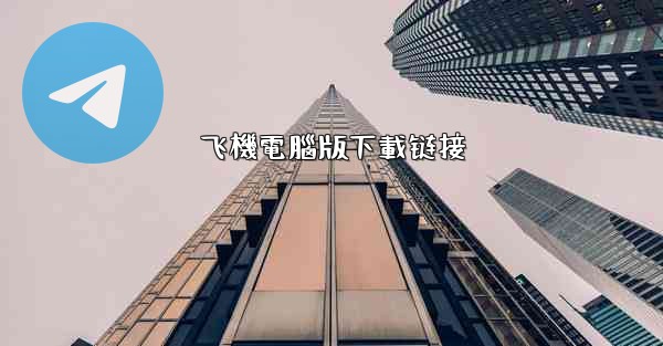 飞機電腦版下載链接