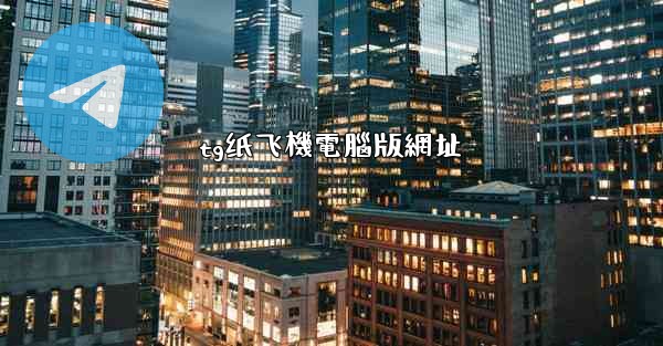 tg纸飞機電腦版網址