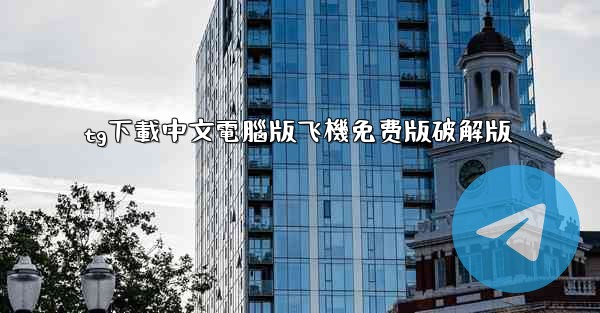 tg下載中文電腦版飞機免费版破解版