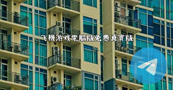 飞機游戏電腦版免费真實版