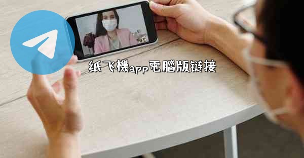 纸飞機app電腦版链接