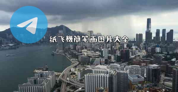 纸飞機簡笔画图片大全