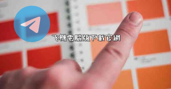 飞機電腦版下載官網