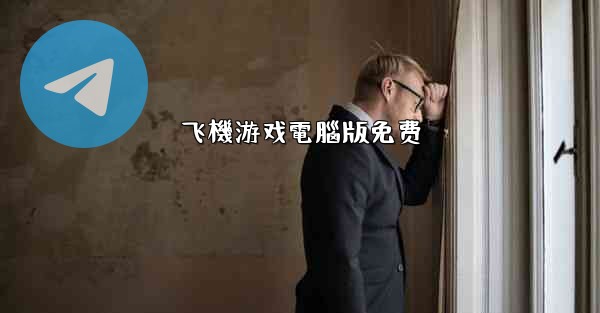 飞機游戏電腦版免费