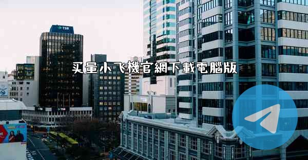 买量小飞機官網下載電腦版