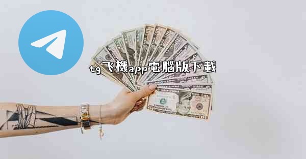 tg飞機app電腦版下載