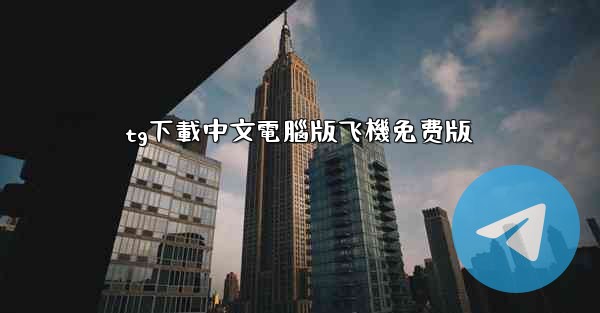 tg下載中文電腦版飞機免费版